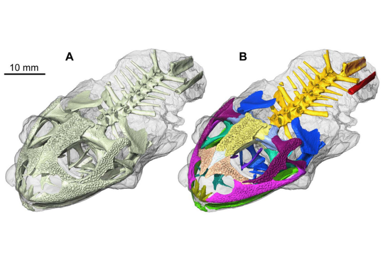 pdm_laloy_et_al_2013_fig_2a_b.png