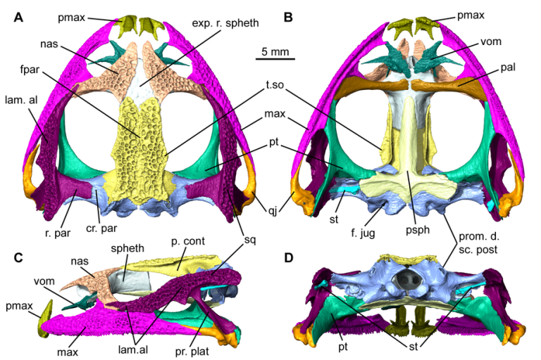 pdm_laloy_et_al_fig3.png