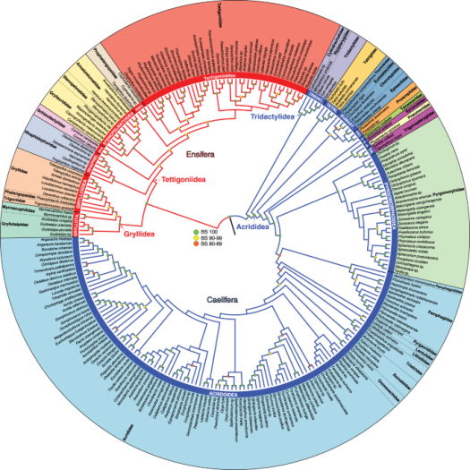 41467_2020_18739_fig2_html.png