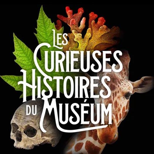 les_curieuses_histoires_du_museum_c_radio_france.jpg