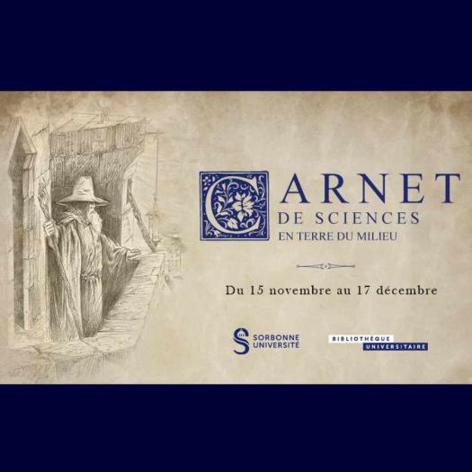 Carnet des sciences en Terre du Milieu