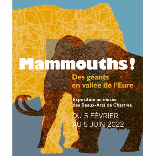 Mammouths, geants en vallee de l'Eure