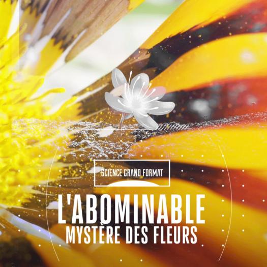abominable_mysteres_fleurs.jpg