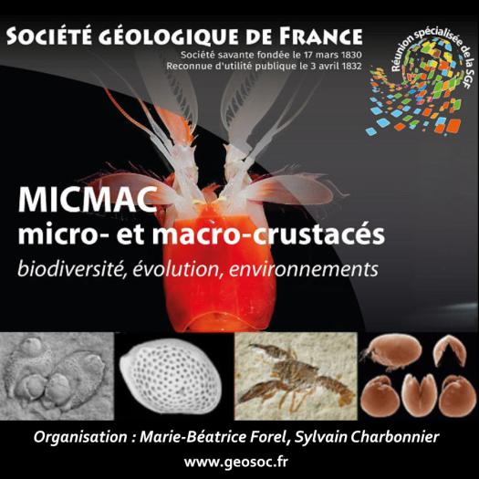 micmac2_site.jpg