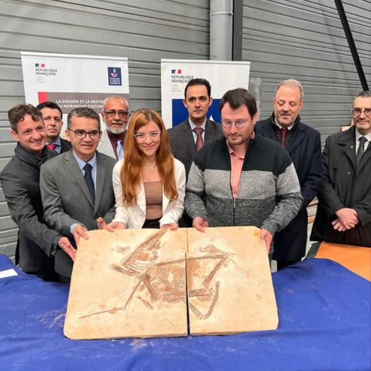 remise_de_fossiles_aux_autorites_bresiliennes_douane_francaise.jpg