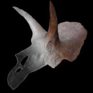 imagerie_3d_bandeau_superieur.jpg