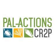 Palactions.jpg