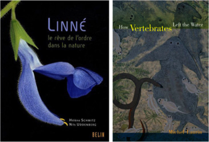 linne_laurin.png
