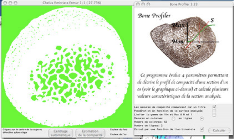 bone_profiler_laurin.png